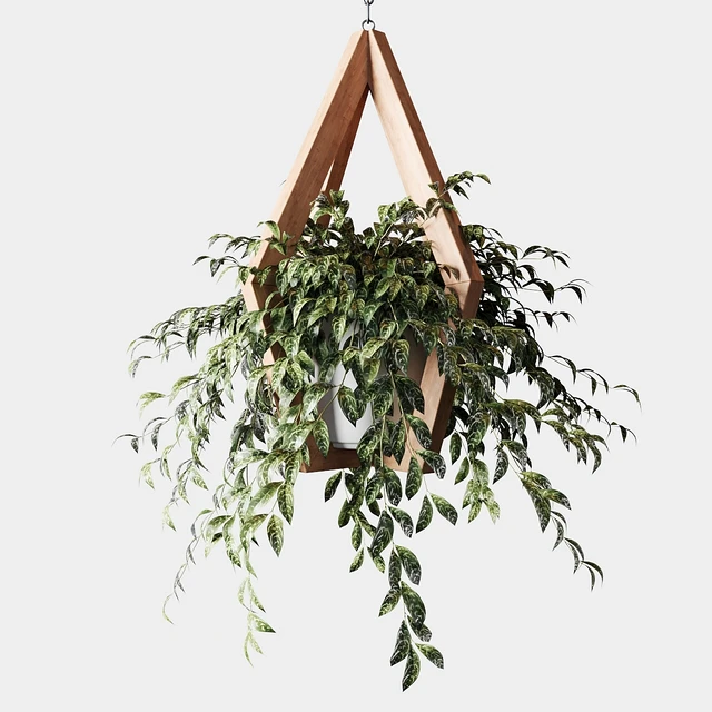Ampelous plants in wooden figured hanging pots — Descargar
