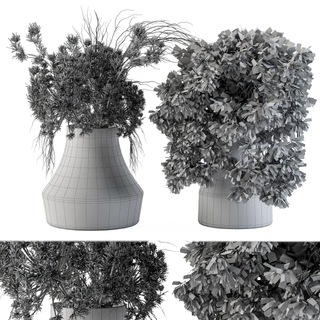 Dry plants 14 — Descargar