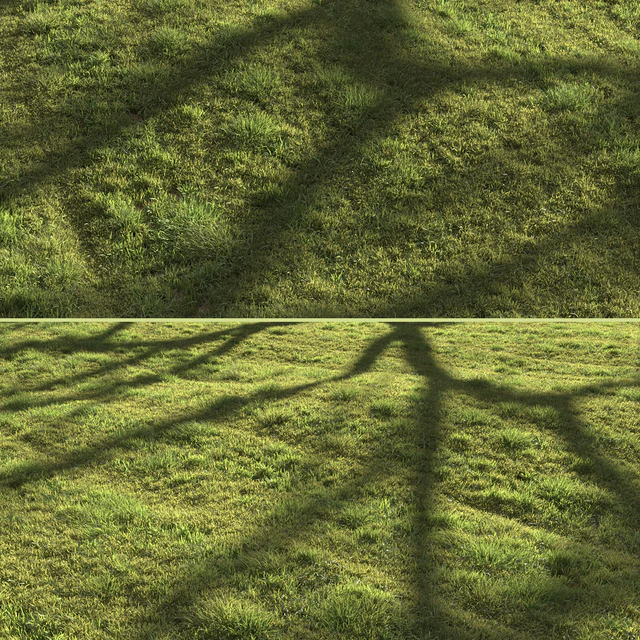 Grass landscape — Descargar