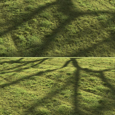 Grass landscape — Ver 5