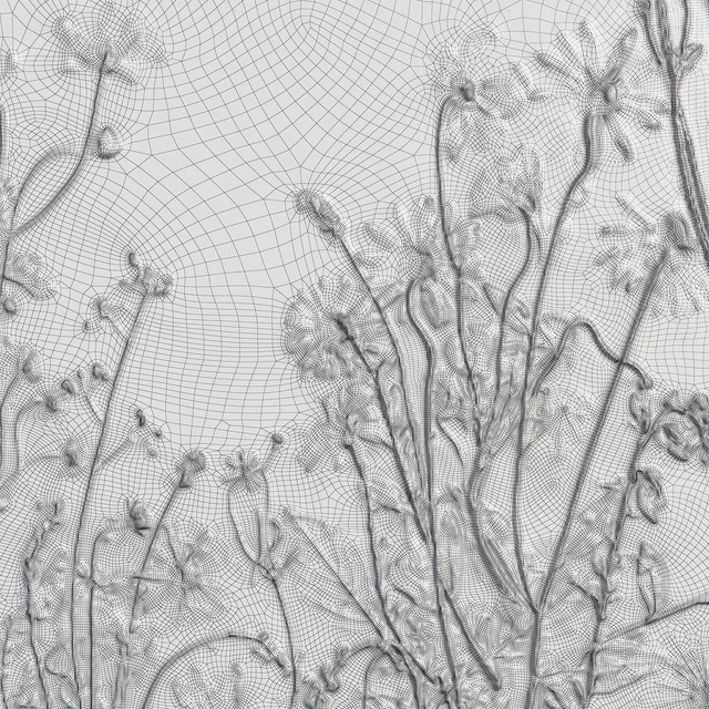 Botanical bas-relief gypsum wall decorative panel juniper dried flowers plants flora chamomile hogweed — Descargar