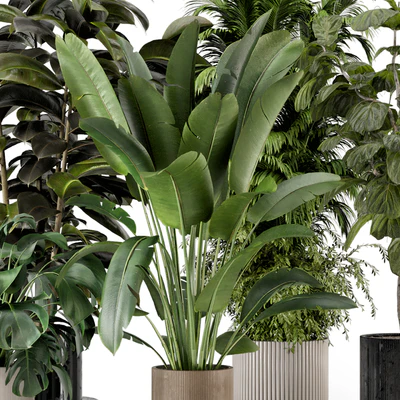 Indoor Plants in Ferm Living Bau Pot Large - Set 734 — Ver 7