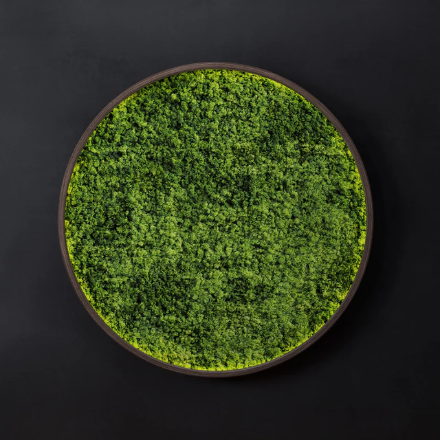 Moss wall disk — Descargar