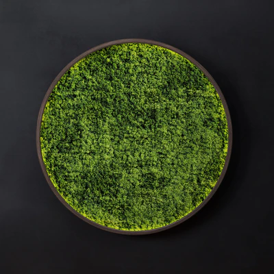 Moss wall disk — Ver 1