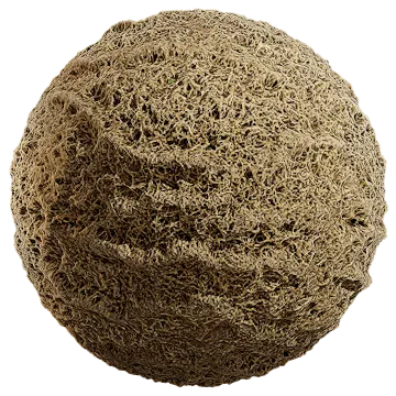 grass dried 009 — Descargar