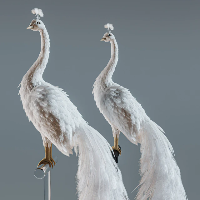 Artificial White Peacock 01. — Скачать