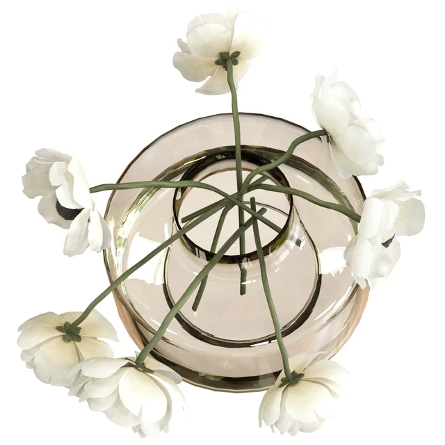 Bouquet of anemones — Descargar