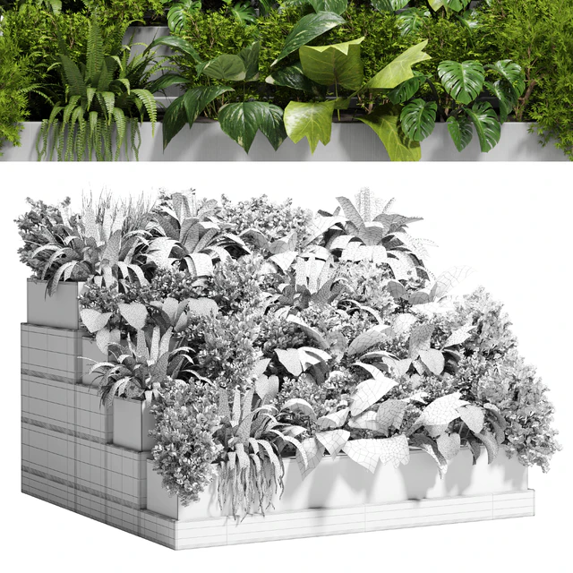 Stairs plant - Collection outdoor indoor plant 78 concrete vase pot fern bush grass — Descargar