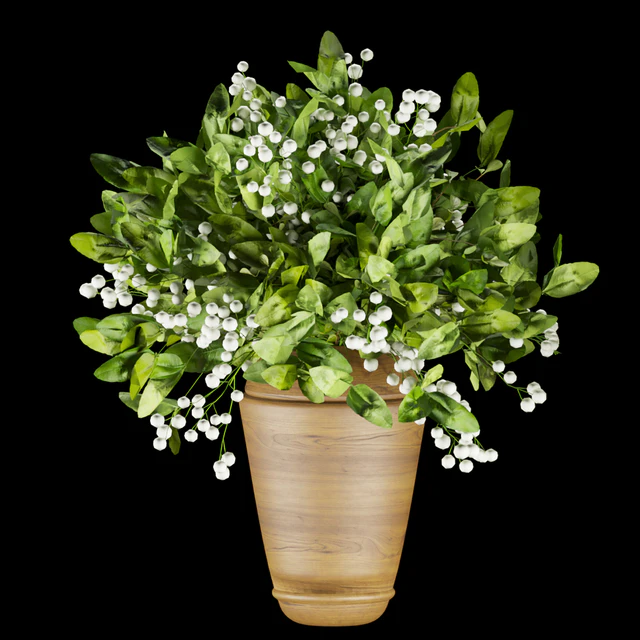 Collection plant vol 262 — Скачать