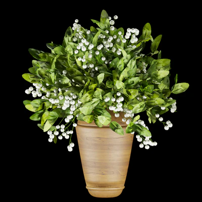 Collection plant vol 262 — Вид 7