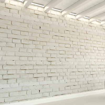 Brick wall. Old brick. 122 — Ver 3