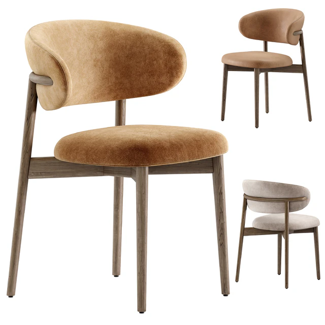 Dining chair Oleandro — Descargar