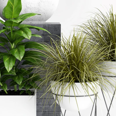 Plants and Planters  1 — Ver 3