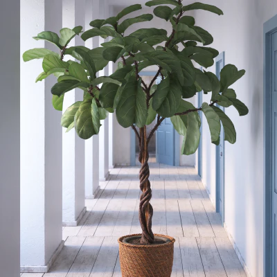 014 — скачать