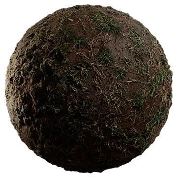scarce grass on damp soil 008 — Descargar