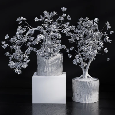 Bonsai broadleaf wooden pot — Ver 3