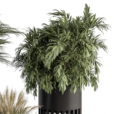 indoor Plant Set 301 - Plant Set in Round Stand Black pot — Вид 6
