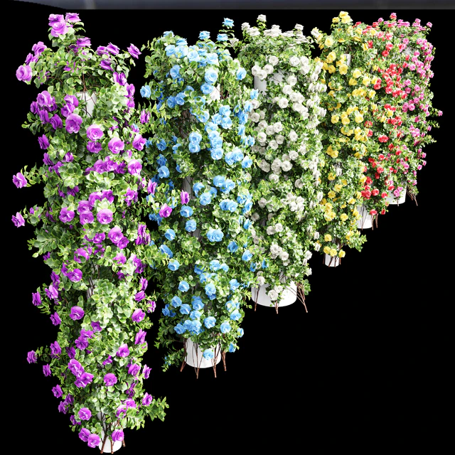 New Plant High detail Climbing Roses Cylinder Columns — Скачать