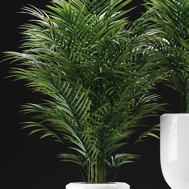 PLANTS 193 — Descargar