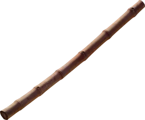 bamboo stick 005 — Descargar