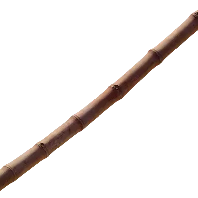 bamboo stick 005 — Descargar