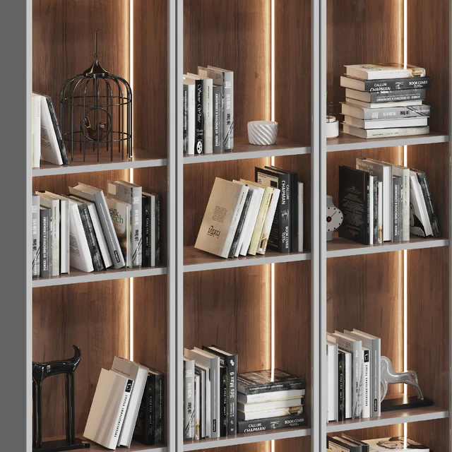 Showcase cabinet with books — Descargar
