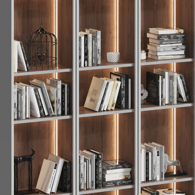 Showcase cabinet with books — Ver 6