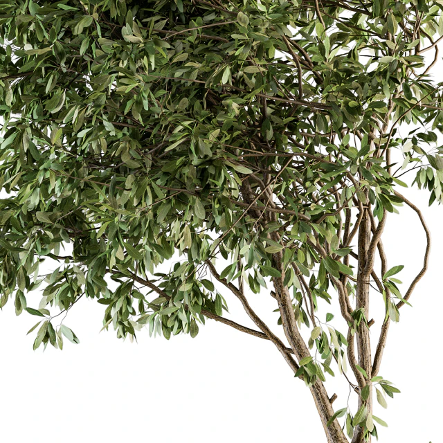 Garden set bush and Tree - Garden Set 05 — Скачать