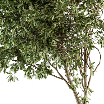 Garden set bush and Tree - Garden Set 05 — Вид 4