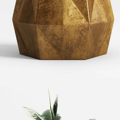 Plants and Planters  8 (Ficus Elastica Variegata) — Вид 3