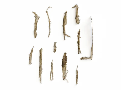 barks set — download