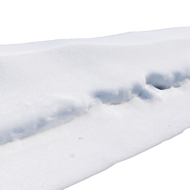 Snowdrift — Descargar