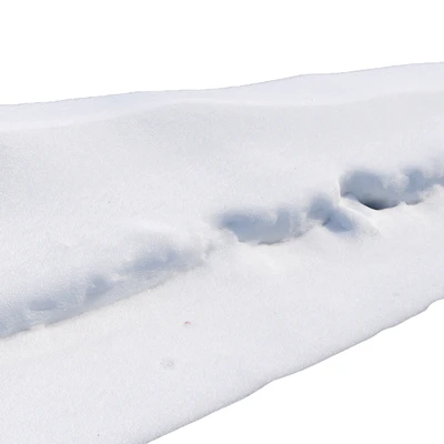 Snowdrift — Ver 5