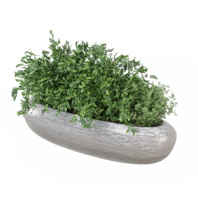 Indoor Plants Collection 1900 — Download