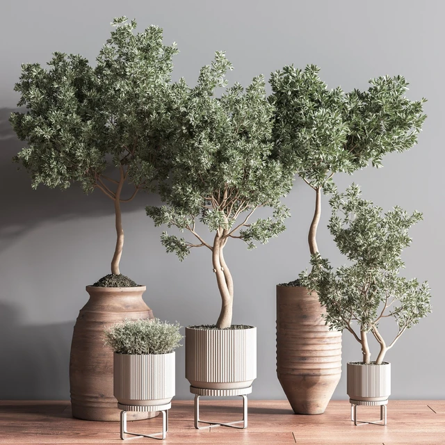 Indoor Plant Set11 — Descargar