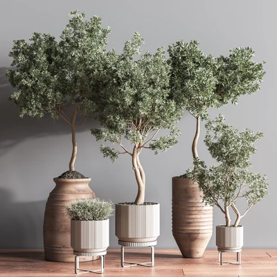 Indoor Plant Set11 — Ver 1