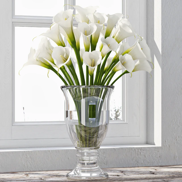 Calla Lily 4 — Скачать
