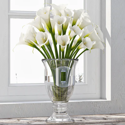 Calla Lily 4 — Вид 1