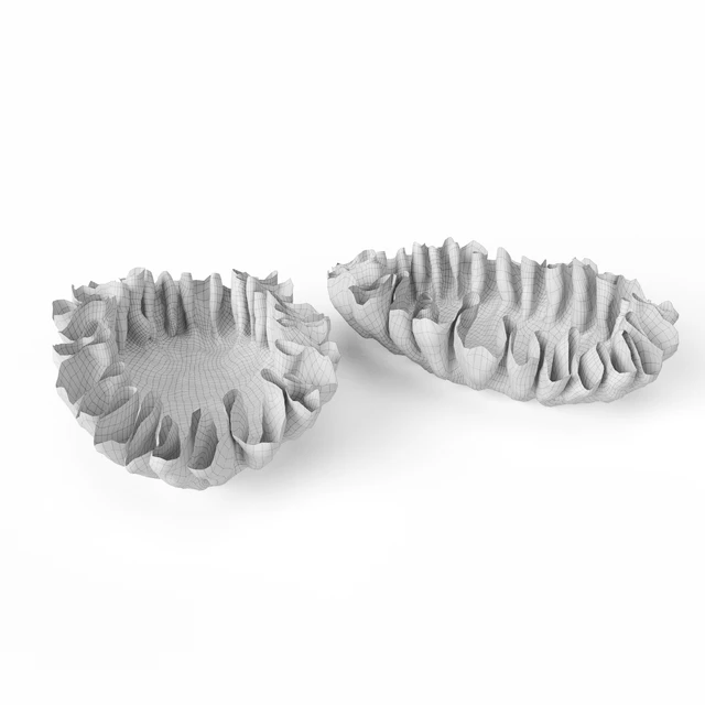 Svetlana Levadnaja Shell Vase — Descargar