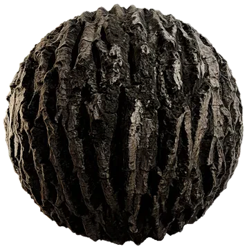 walnut tree bark 002 — Descargar
