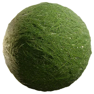 pine foliage 001 — Скачать