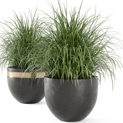 Outdoor Plants Bush  in rusty Concrete Pot - Set 186 — Вид 7