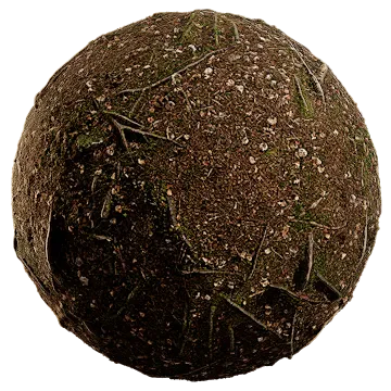 nordic forest ground pine root coarse 001 — Скачать