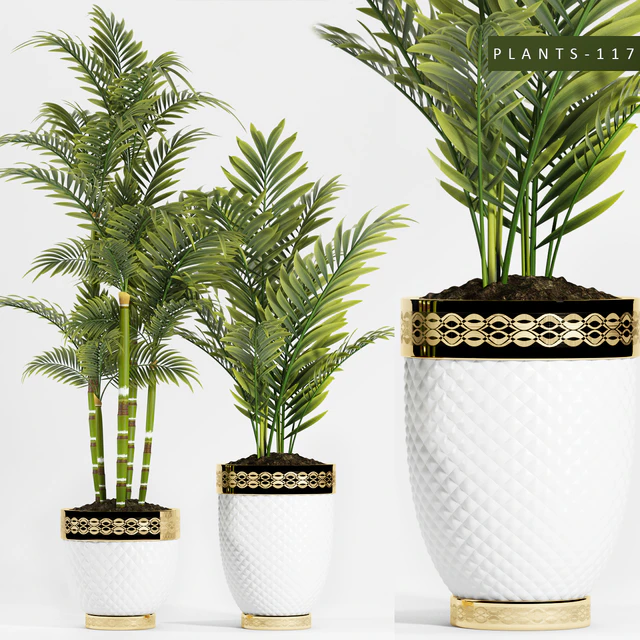 PLANTS 117 — Descargar