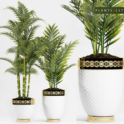 PLANTS 117 — Ver 1