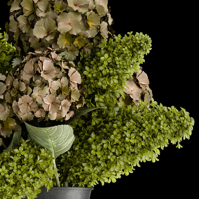 Beautiful modern bouquet of green flowers in a black vase with Hydrangea, green Lilac. 169 — Ver 5