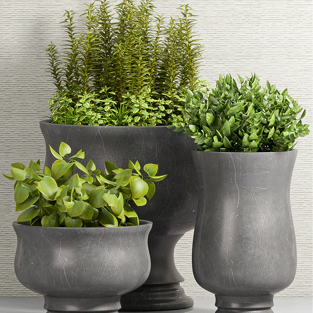 PLANT -45 — Скачать