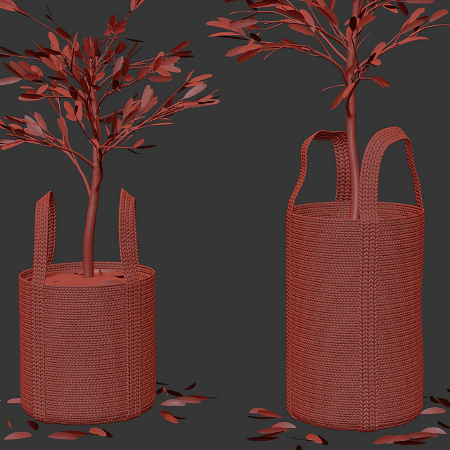 Wicker basket containing the delicate olive tree in pastel tones — Descargar