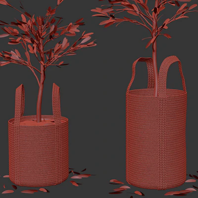 Wicker basket containing the delicate olive tree in pastel tones — Ver 4