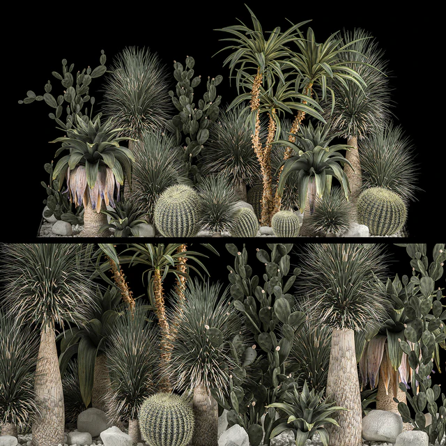 Collection of tropical plants of the desert 1117. cactus, yucca, prickly pear, thickets, bushes, garden, dracaena — Descargar